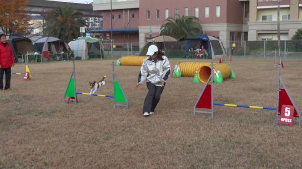 DSC01880.jpg