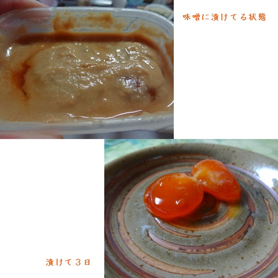 cats_20120427182747.jpg