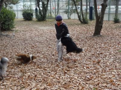 DSC08638_convert_20140101160751.jpg