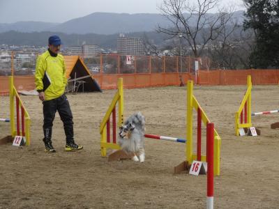 DSC08786_convert_20140103191647.jpg
