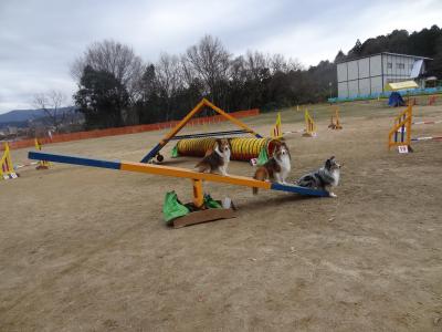 DSC08791_convert_20140103201651.jpg
