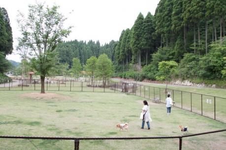 EOS7D_20120602 _IMG_0949