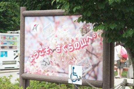 EOS7D_20120603 _IMG_1339