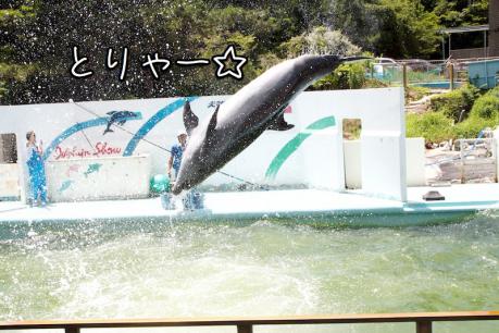 EOS7D_20120715 _IMG_2817