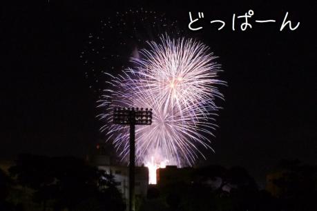 EOS7D_20120818 _P1020432