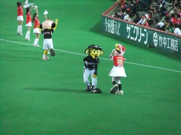 DSCF5427.jpg