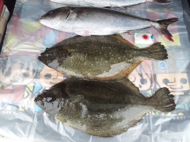 釣り