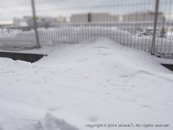 20140210大雪2