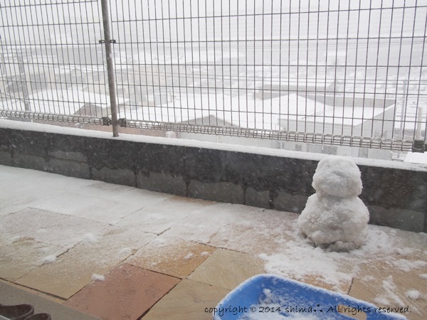 20140210大雪1