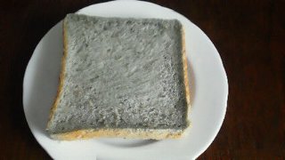 よもぎ