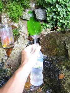 葛谷の清水