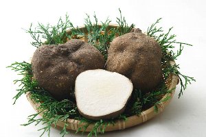 やまといも