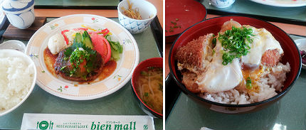 ハンバーグとカツ丼