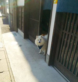 ヘルンナンデス・レオ君