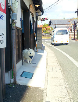 ヘルンナンデス・レオ君