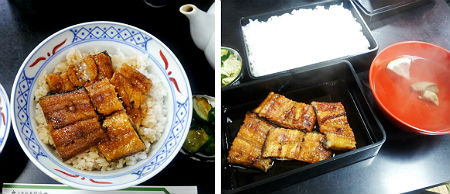 うな丼とうな重