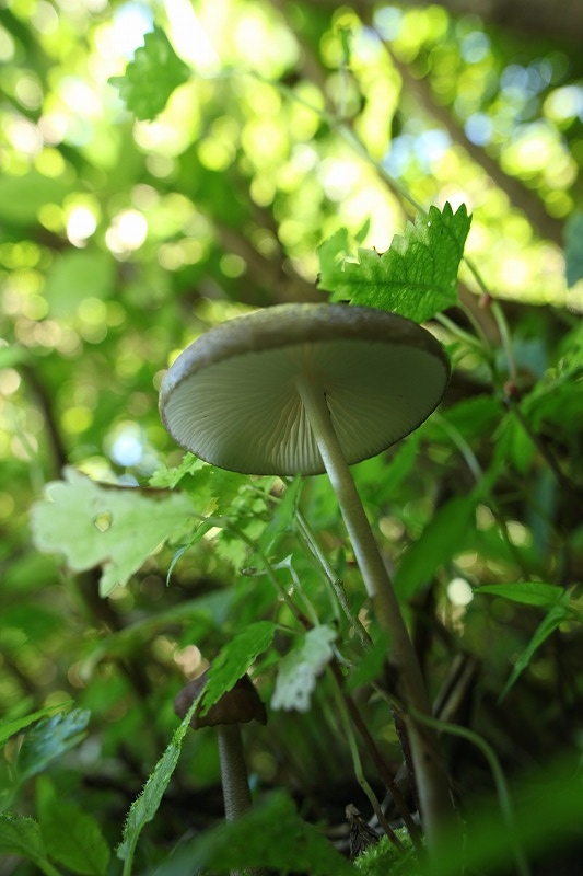IMG_6591.jpg