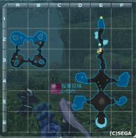 map5.jpg