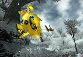 ra5.jpg
