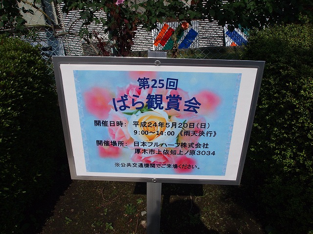 008日本フルハーフ