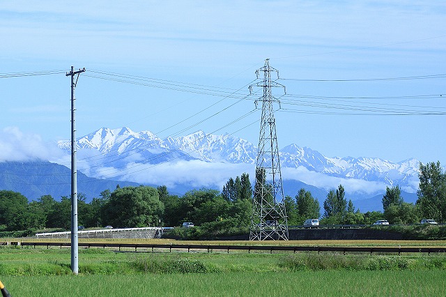 IMG_8436実家の庭
