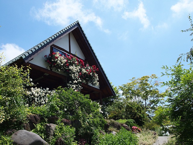 050夢ハーベスト農場