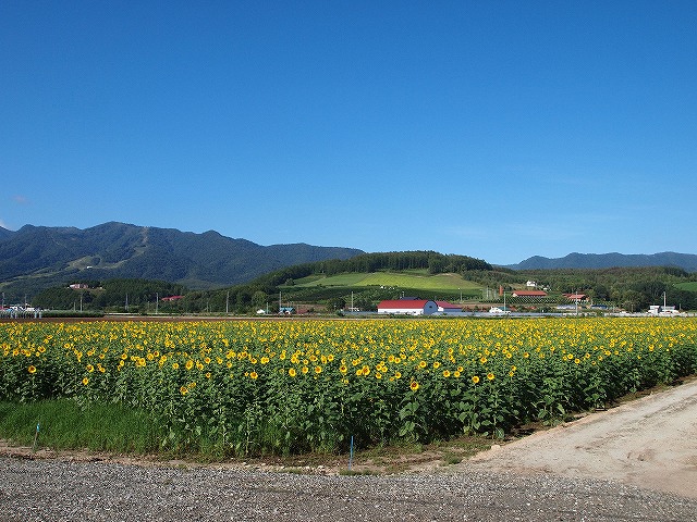 156富良野