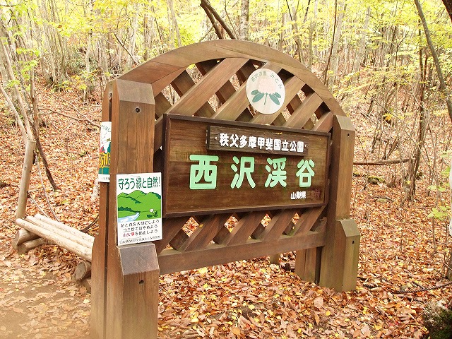 110西沢渓谷