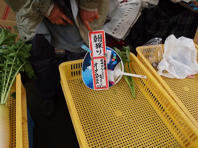 111宮川朝市