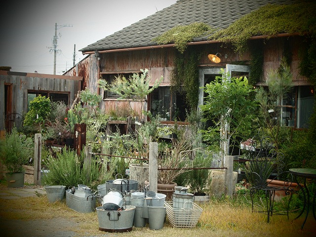PA212657_01.jpg