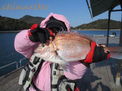 039fc20130108.jpg