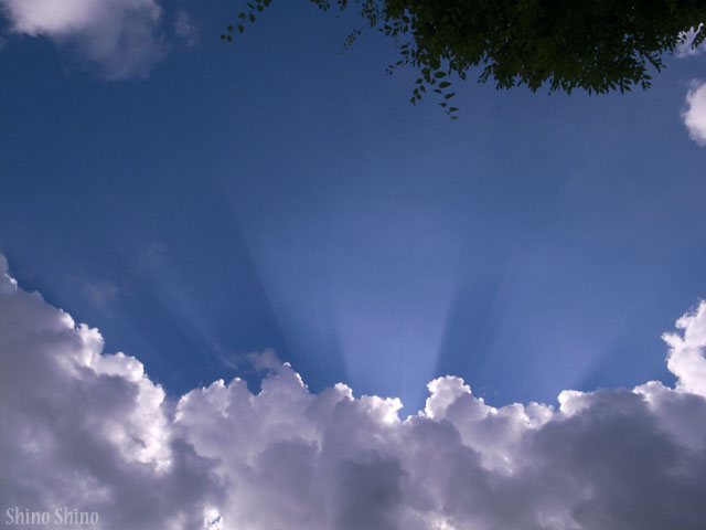 sfc2_120915