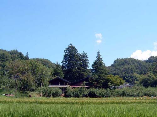 obayashi1.jpg