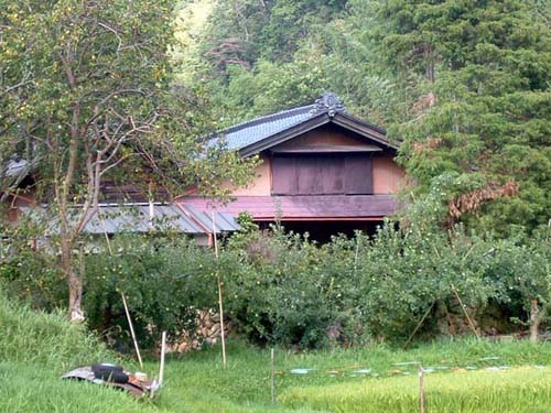 obayashi3.jpg