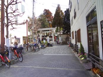 DSC02131.jpg