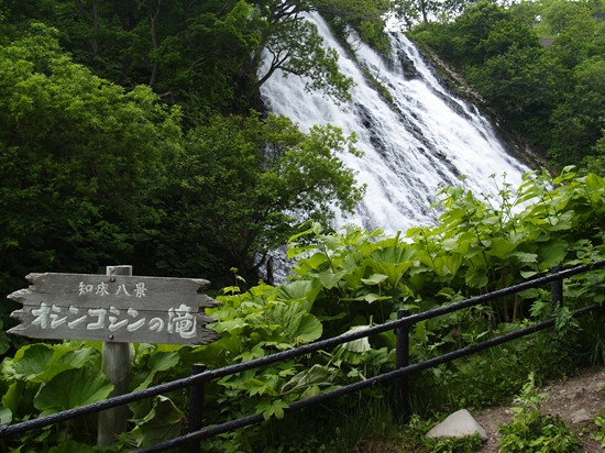 P6282203_R.jpg