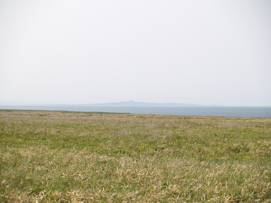 P6302251_R.jpg