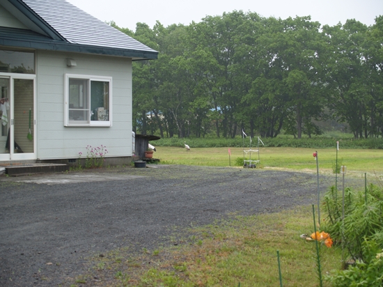 P7022270_R.jpg