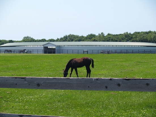 P7072298_R.jpg