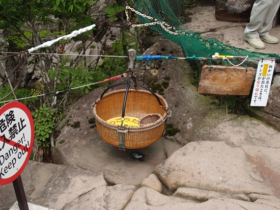 P7162374_R.jpg