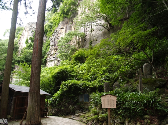 P7202431_R.jpg