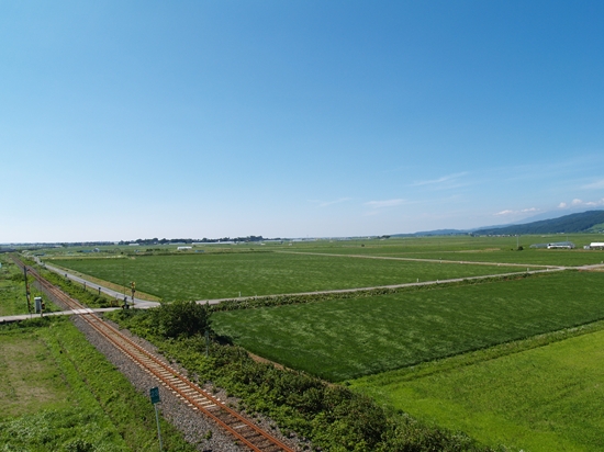 P7202464_R.jpg