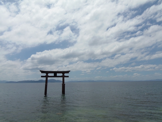 P8020244_R.jpg