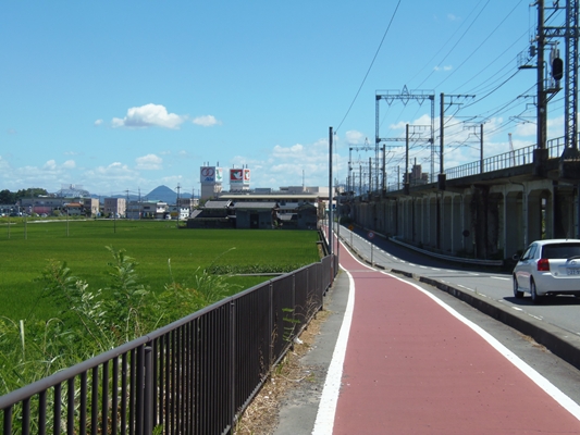 P8020245_R.jpg