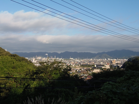 P8190263_R.jpg