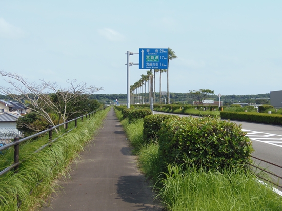 P9010747_R.jpg