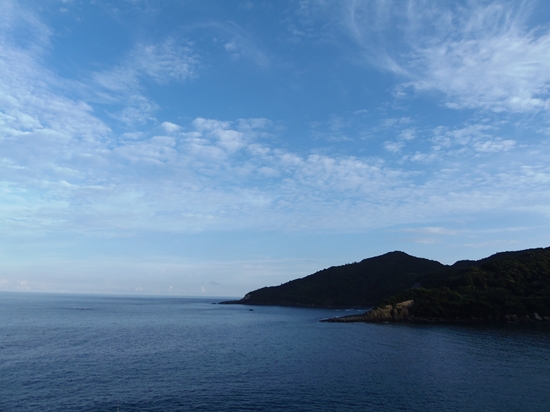 P9020773_R.jpg