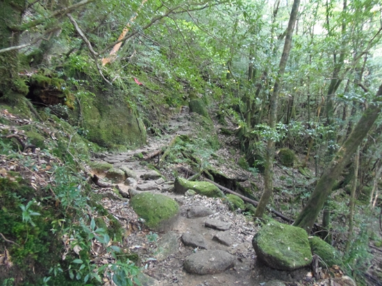 P9050854_R.jpg