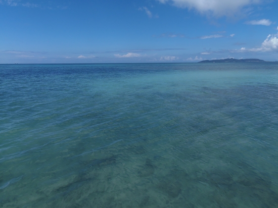 P9211187_R.jpg