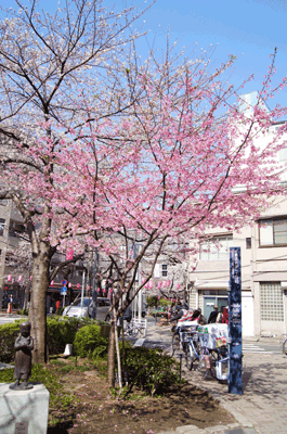 2013桜風景４